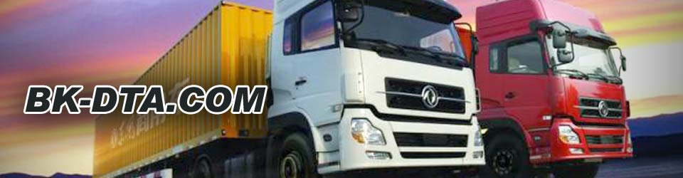 فروشگاه مرکزی دانگ فنگ اخوان کریمی